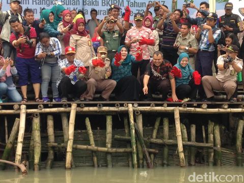 724 Ekor Kepiting Dilepasliarkan di Eco Wisata Mangrove