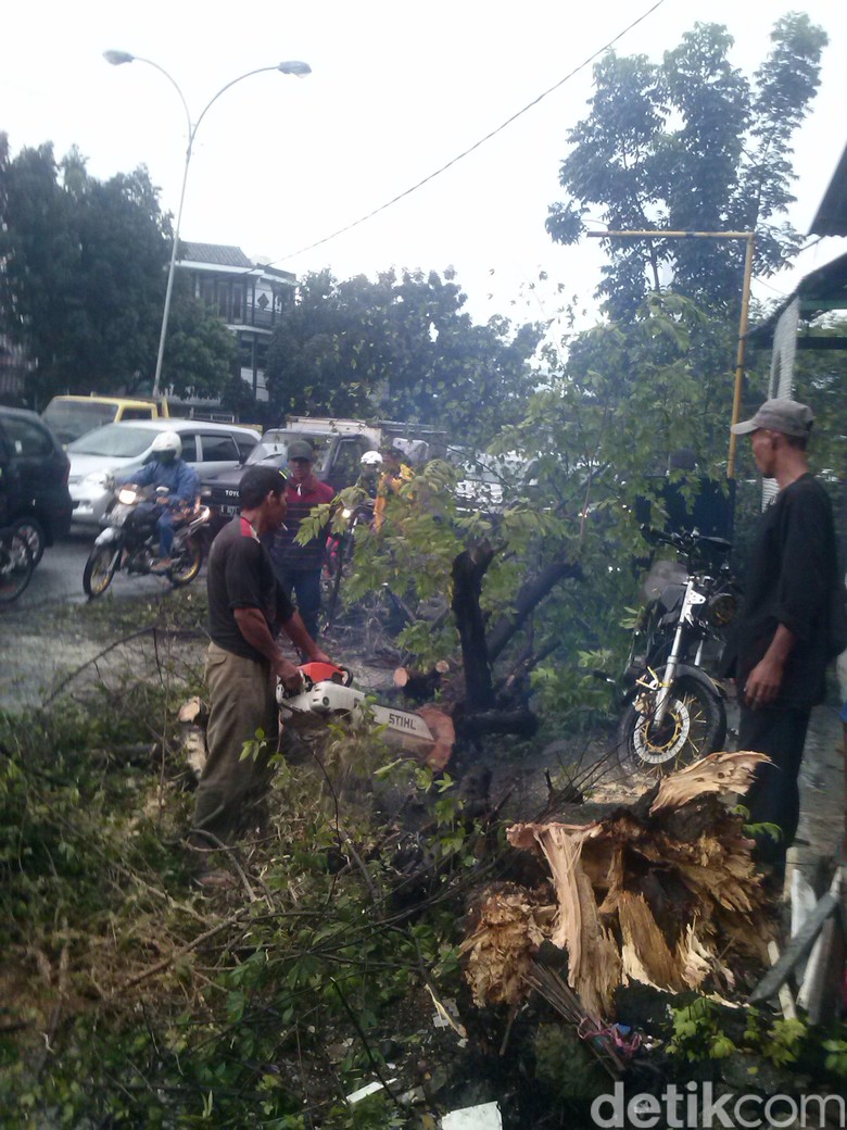 Hujan Badai Pohon Kersen Tumbang Di Jalan Laswi Bandung