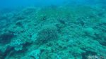 Bening Bagai Kaca, Tempat Ini Keren Buat Diving