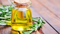 Rempah satu ini bisa meningkatkan konsentrasi, ketangkasan, dan ketepatan pada tugas yang melibatkan mental. Rosemary juga meningkatkan kualitas memori. (Foto: iStock)