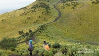 Gunung Merbabu di Jawa Tengah pun menjadi favorit para pendaki (Tiara Rahmadania/dTraveler)
