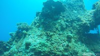Memiliki air yang berwarna biru muda dan berarus tenang, traveler bisa melihat dasar laut yang memiliki kedalaman sekitar 15 meter (Bonauli/detikTravel)