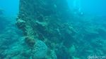 Bening Bagai Kaca, Tempat Ini Keren Buat Diving