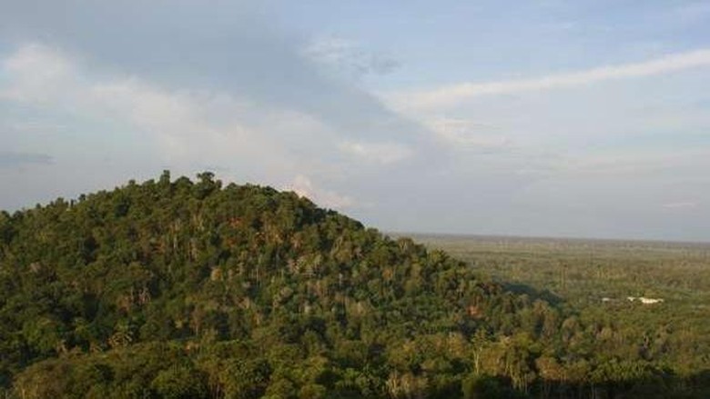 Foto: Bukit Tangkiling di Palangkaraya (M Yusuf Simatupang/dTraveler) Foto: Bukit Tangkiling di Palangkaraya (M Yusuf Simatupang/dTraveler)