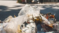 Begini penampakan tumpukan sampah yang diangkat dari selokan. Pool/Abraham.