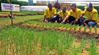 Ewindo juga memberikan petani pelatihan teknik penanaman dan persemaian budidaya bawang merah dari biji. Foto: dok. Ewindo