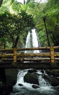 Jembatan keren tempat foto-foto traveler (Wahyu/detikTravel)