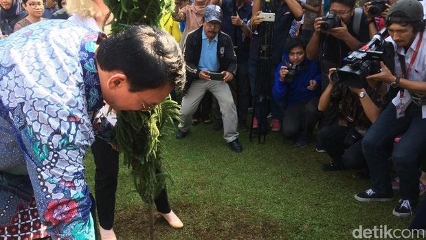 Ahok tanam pohon bersama Dubes Finlandia / 