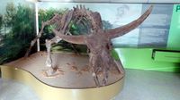 Display kerbau purba di Cluster Museum Dayu (Wahyu/detikTravel)