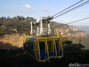 Kanguru Selfie & Kereta Gantung Tertinggi di Australia