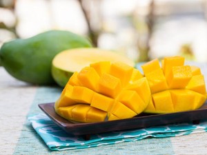 Kakek 84 Tahun Ini Koleksi Lebih dari 150 Varietas Mangga Langka