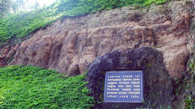 Belajar Geologi Yuk! Lihat Lapisan Tanah dari Zaman Pra Sejarah