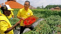 Managing Director PT East West Seed Indonesia (Ewindo) Glenn Pardede menjelaskan keunggulan cabai varietas BAJA F1 kepada petani binaan asal Indonesia Timur disela Expo Nasional Cap Panah Merah di Jawa Barat, Jumat (5/5).  Foto: dok. Ewindo