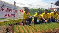 Di acara Expo yang dihadiri 700 orang petani ini, Ewindo juga meluncurkan lima varietas unggul sayuran diantaranya Cabai BAJA F1 dan Tomat OPTIMA F1 yang tahan terhadap virus Gemini.   Foto: dok. Ewindo