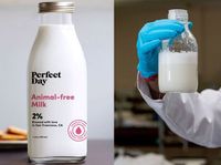 Perusahaan Ini Kembangkan Produk Susu Sapi Bukan dari Sapi!