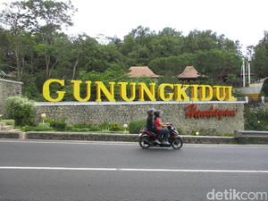 Kambing di Gunungkidul Dimangsa Anjing Liar
