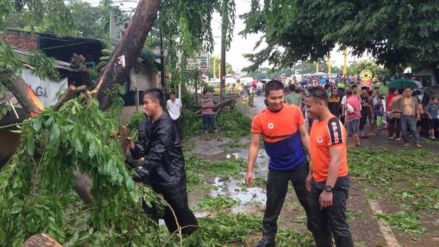 Pohon tumbang juga terjadi di Jalan Menteng VII, Medan.