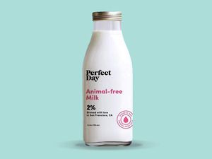 Perusahaan Ini Kembangkan Produk Susu Sapi Bukan dari Sapi!