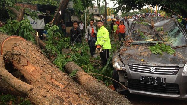 Satu mobil tertimpa pohon tumbang di di Jalan Seksama Ujung, Medan.