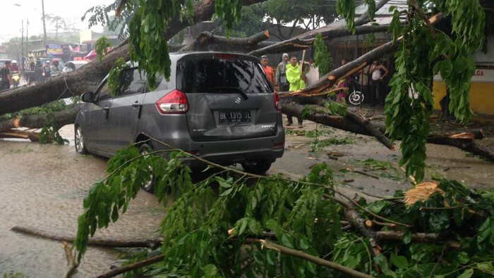 Hujan dan Angin Kencang Landa Medan, Satu Mobil Tertimpa Pohon