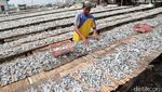 Melihat Perajin Ikan Asin Muara Angke
