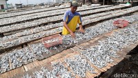 Berbagai jenis ikan asin bisa ditemui di sini.
