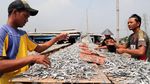 Melihat Perajin Ikan Asin Muara Angke
