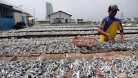 Harga ikan asin di kalangan produsen setempat sekitar Rp 15.000 hingga Rp 30.000 per kilogram.