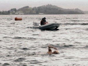 Ice Swimming, Olahraga Berenang Ekstrem di Suhu 5 Derajat Celsius