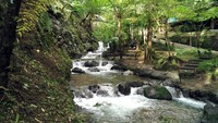  Di depan Air Terjun Jumog terdapat sungai kecil yang juga asyik sebagai lokasi foto-foto. Pastinya Instagramable banget! (Wahyu/detikTravel)