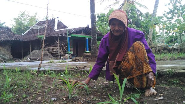 Mbah Ponco Nenek 95 Tahun Bisa Akting di Film 'Ziarah' Meski Buta Huruf