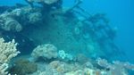 Foto-foto Wreck Diving di Karimunjawa