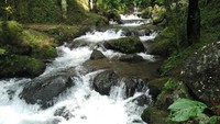 Sesekali cobalah rasakan segarnya aliran Air Terjun Jumog. Basuhlah wajah, dan rasakan sensasinya. Brr.. dingin dan segar banget! (Wahyu/detikTravel)