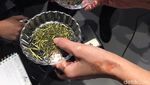 Serunya Belajar Seluk Beluk Teh Jepang Bersama Ahli Teh
