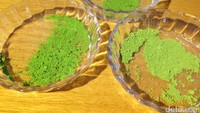 Ratna Soemantri juga menjelaskan perbedaan matcha asal Jepang. Terdapat varian untuk upacara minum teh dan masakan.