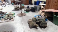 Meski terlihat berantakan, tapi kita bisa membayangkan bagaimana serunya para arkeolog bekerja. Pasti mereka melakukan pekerjaan ini dengan penuh passion dan rasa ingin tahu yang besar tentang fosil-fosil yang mereka temukan (Wahyu/detikTravel)