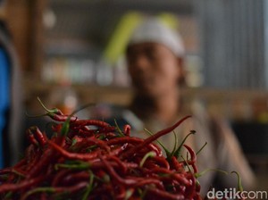 Harga Bawang Putih dan Cabai di Rembang Mulai Naik