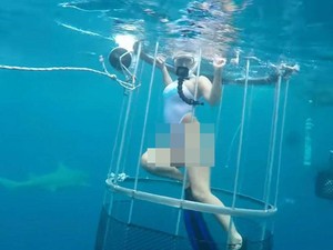 Walah, Bintang Film Porno Digigit Hiu Saat Diving di Florida