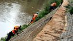 Pasukan Oranye Bersihkan Tepi Kali Ciliwung