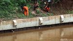 Pasukan Oranye Bersihkan Tepi Kali Ciliwung