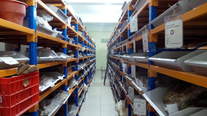 Gudang fosil Sangiran