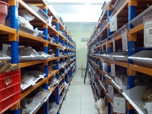 Kenapa Harus Punya Gudang di Rumah? Ini Jawabannya