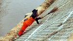 Pasukan Oranye Bersihkan Tepi Kali Ciliwung