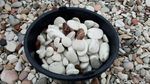 Ajaib, Pantai di NTT Punya Batu Warna-warni!