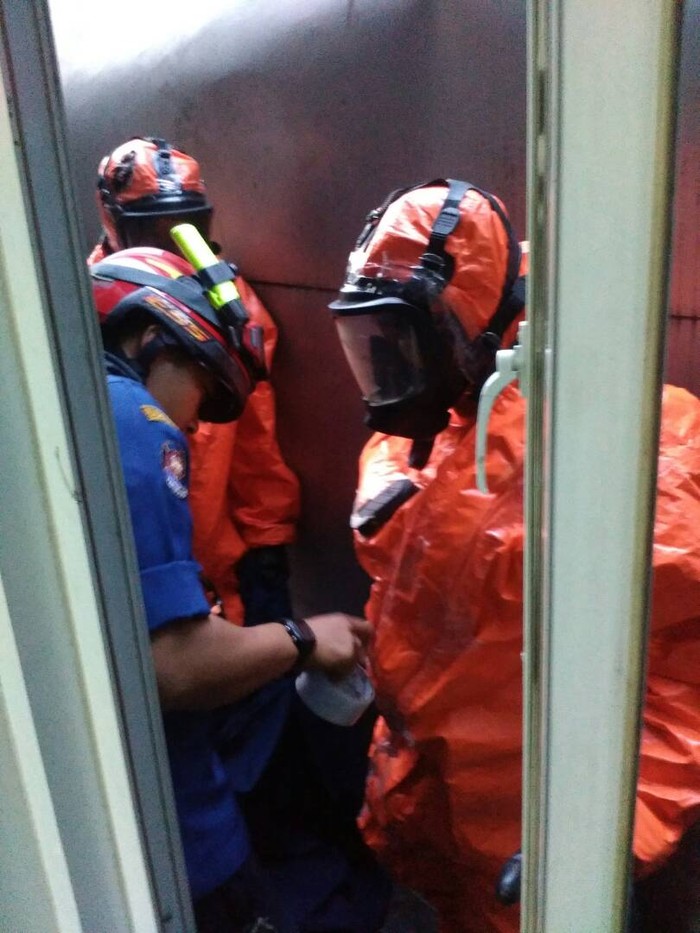 Petugas Damkar Evakuasi Sarang Tawon di Pondok Pinang