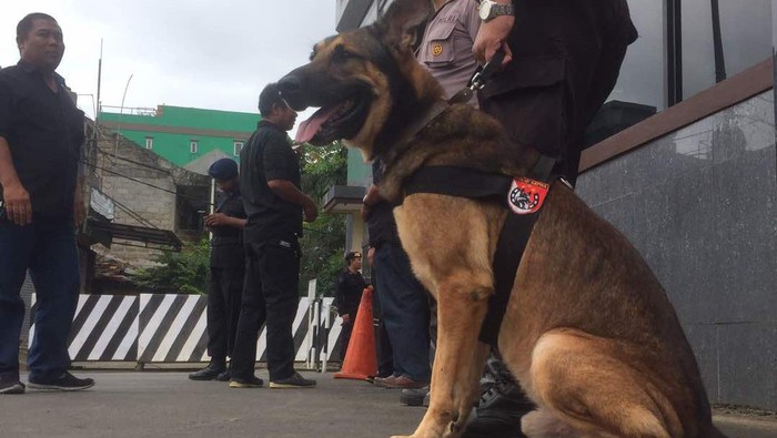 Antisipasi Massa Rusuh, 2 Anjing Pelacak Dikirim ke Mako Brimob