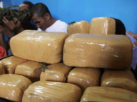 Barang bukti ganja yang diamankan polisi Aceh Utara