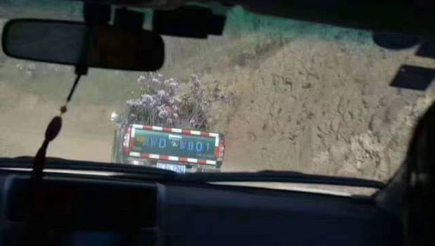 Acak-acak Padang Bunga Indah, Turis Dikecam Netizen
