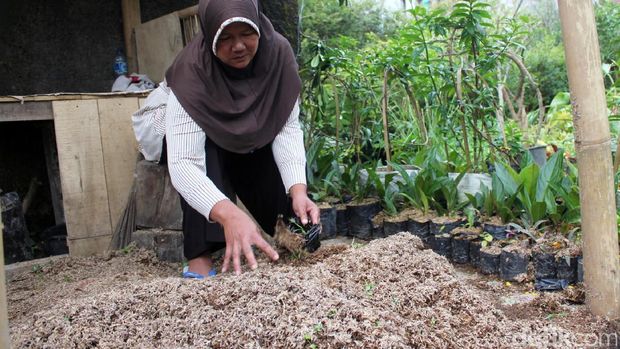 Ambil Cacing Hutan Dibui, Ini 5 Fakta yang Menjerat Didin
