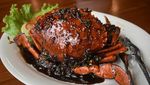 Dijamin Ketagihan! 10 Hidangan Kepiting Berlumur Saus Gurih di Tempat Ini